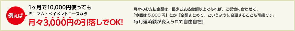 例えば1ヶ月に10,000円使っても初回3,000円の引落しでOK! 月々のご請求金額は、最少お支払金額以上であれば、ご都合に合わせて、「今回は5,000円」とか「全額まとめて」というように変更することも可能です。 毎月返済額が変えられて自由自在!