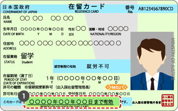在留カードの表面