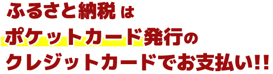 ふるさと納税はポケットカード発行の
クレジットカードでお支払い!!