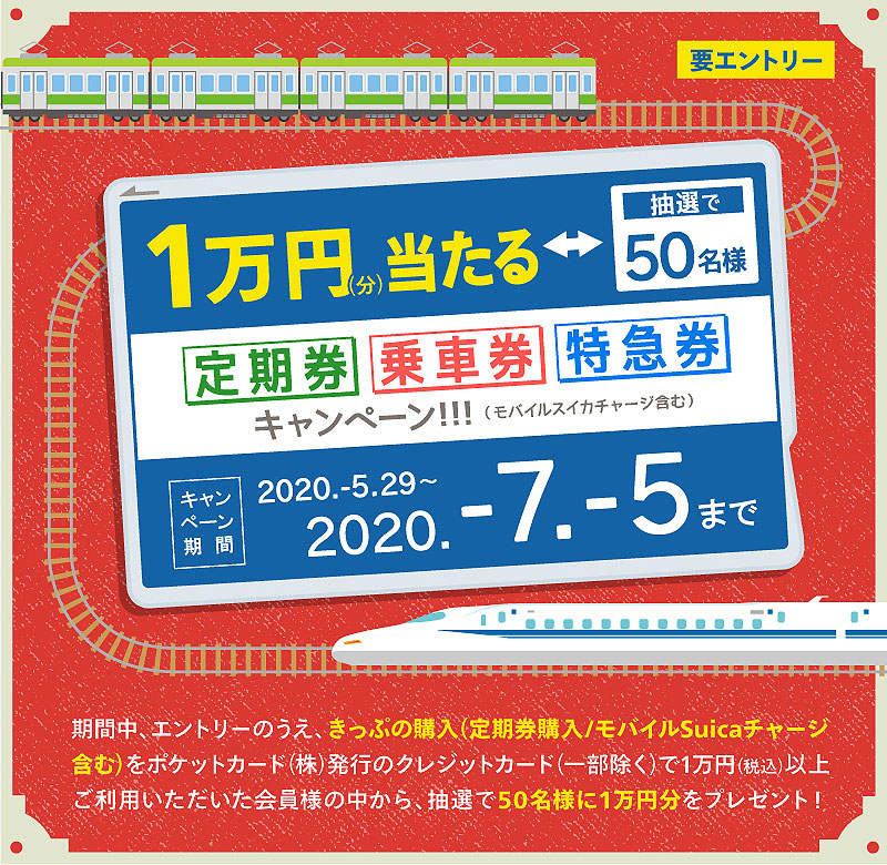 ポケット カード