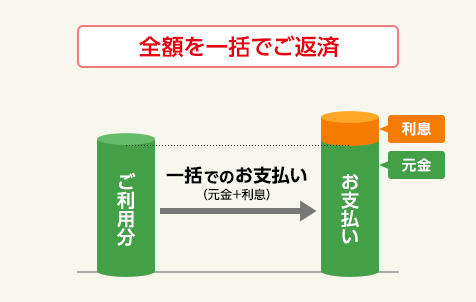 全額を一括でご返済